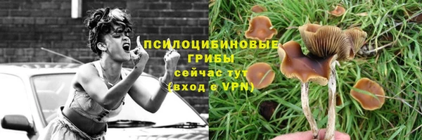 метадон Богородск