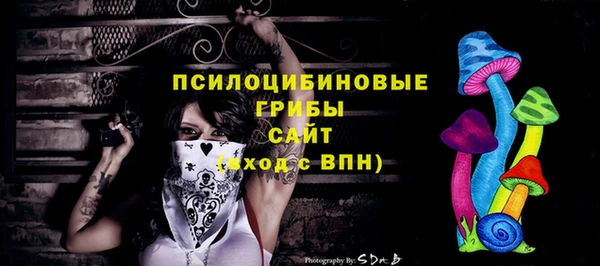 первитин Богородицк